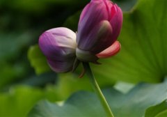 钓鱼发朋友圈的经典说说