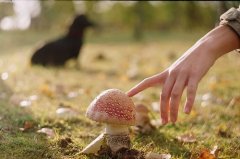 洒脱的朋友圈说说