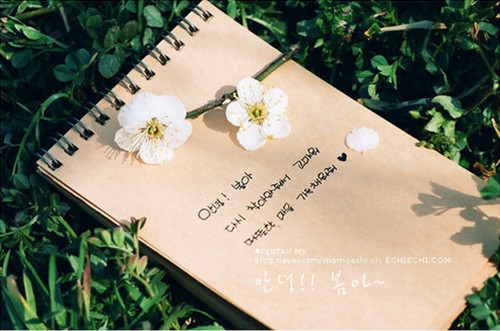 关于姐弟的心情说说