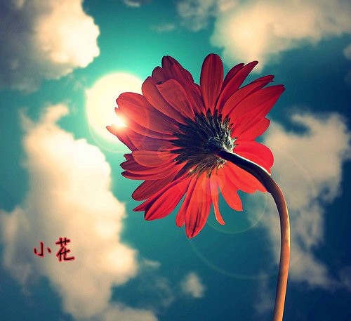一儿一女的朋友圈经典说说