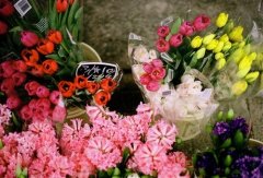 小孩子放暑假开心的说说