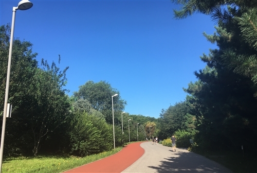 晨跑发朋友圈的说说搞笑