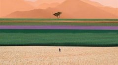 收稻谷的朋友圈说说
