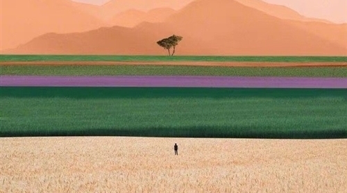 收稻谷的朋友圈说说
