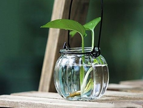 正能量心情句子说说心情