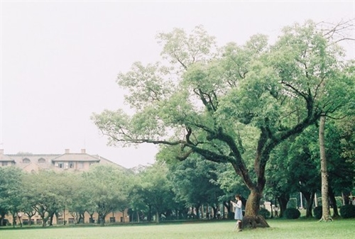 抖音温馨话语暖人心句子