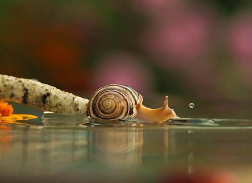 春去秋来发朋友圈的句子