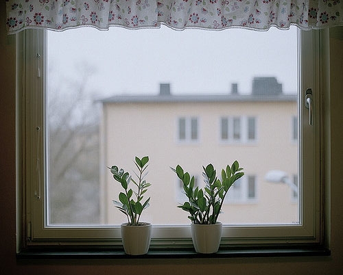 最让我感动的一句话