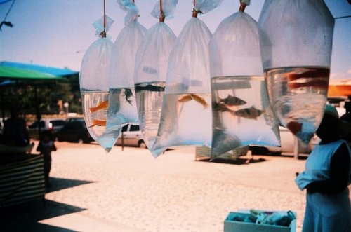 感觉自己被抛弃的说说