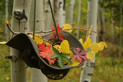 早上积极向上正能量的句子