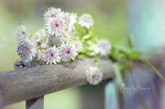 跟香烟有关的伤感说说