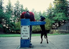 感觉好像被全世界嫌弃了一样的说说