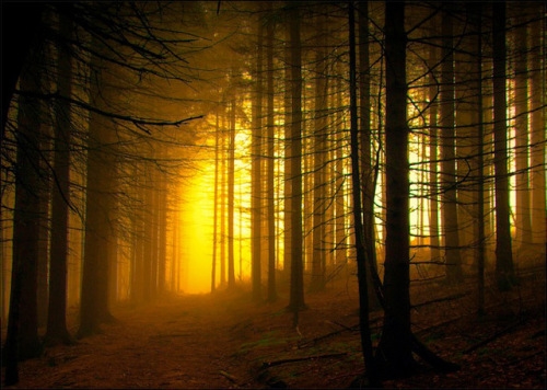 夜晚难熬的句子