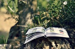 正能量爆棚的励志说说大全