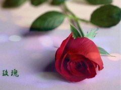 送给老板的事业祝福语大全
