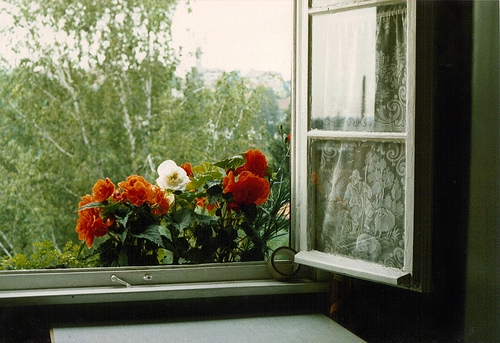 有关中秋节的说说