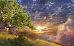 讽刺背后议论人的句子