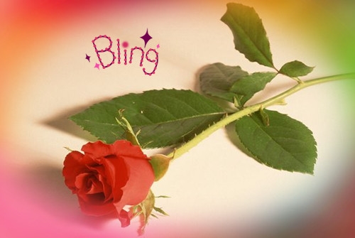 描写秋日景色的优美句子 描写秋日景色的优美句子