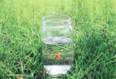 女人发早安的朋友圈说说