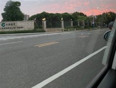 晒驾照的朋友圈搞笑说说