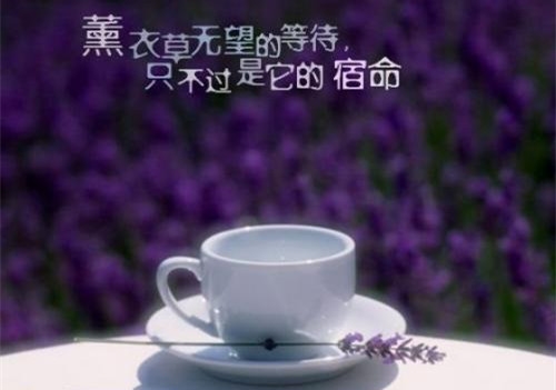 抖音可爱到爆炸的短句子 抖音可爱到爆炸的短句子