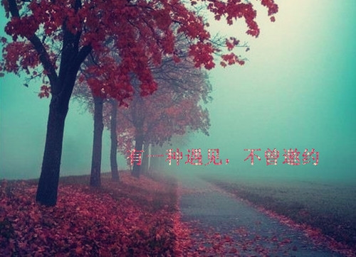 对一些事失望的朋友圈说说