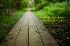 一个懂我的人经典说说