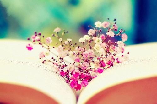 有家等于没家的说说