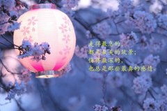 不知不觉又快到过年的说说