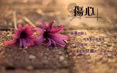 原来我什么都不是的说说