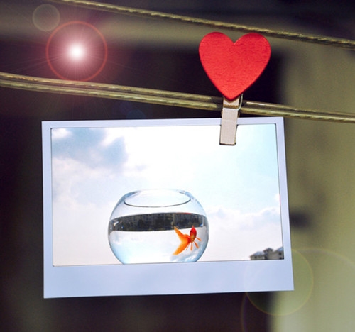 生活还得继续的句子