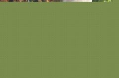 一年的心酸感慨说说