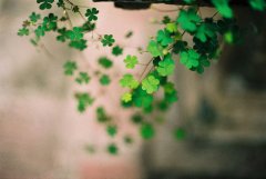 在夜深人静的时候唯美说说