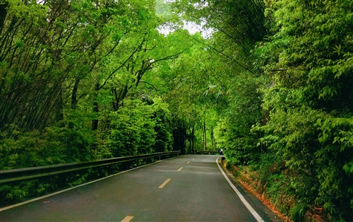 清明节踏青朋友圈说说