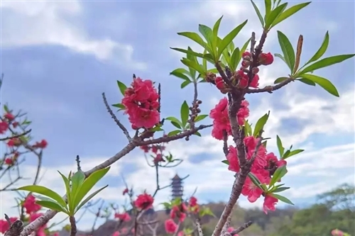 春天踏青的句子朋友圈短句