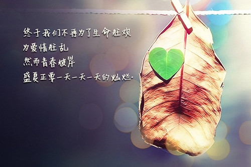 不吵不闹心凉了的说说