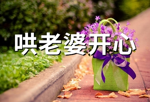 哄老婆开心的暖心话句子