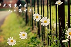 小时候真好的说说 怀念小时候的简短说说