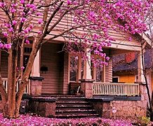 每天正能量励志的说说(精选88句)