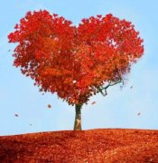 适合朋友圈的佛系句子(51句)