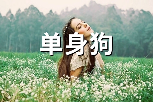 关于单身狗的说说(精选38句)
