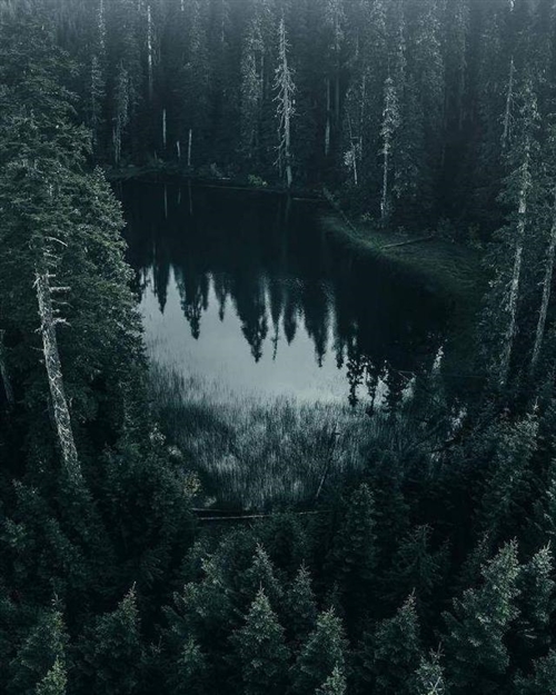 佛说心态经典句子(125句)