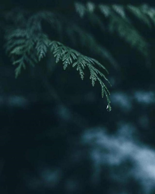 佛说心态经典句子(125句)