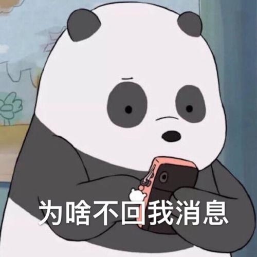 回信息慢怎么幽默回答(53句)