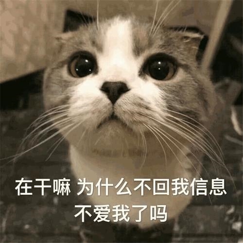 回信息慢怎么幽默回答(53句)