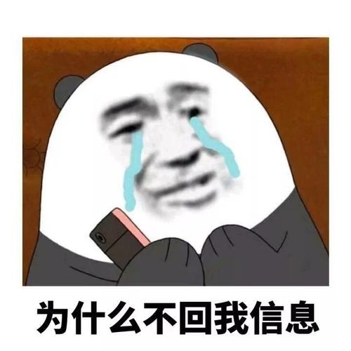 回信息慢怎么幽默回答(53句)