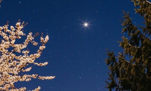 心情特烦发朋友圈的句子(精选84句)