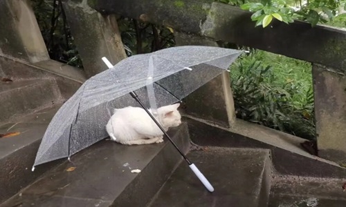 心情特烦发朋友圈的句子(精选84句)