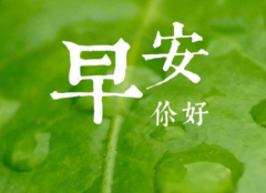 一句话的简单早安说说(67句)