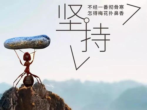 坚持做一件事的励志句子(55句)